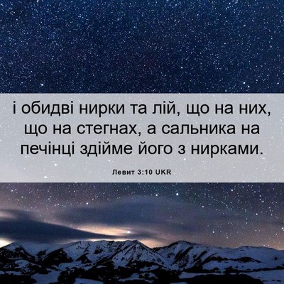 Picture 06 - Левит 3:10 UKR - і обидві нирки та лій, що на - Bible Verse Picture