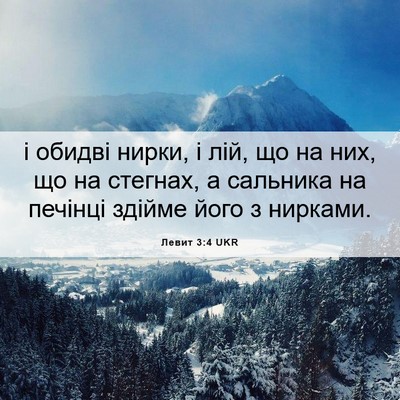 Picture 06 - Левит 3:4 UKR - і обидві нирки, і лій, що на - Bible Verse Picture