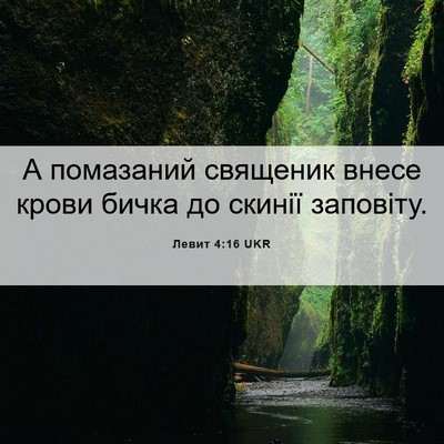 Picture 06 - Левит 4:16 UKR - А помазаний священик внесе - Bible Verse Picture