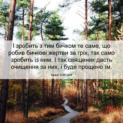 Picture 06 - Левит 4:20 UKR - І зробить з тим бичком те - Bible Verse Picture