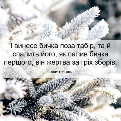 Picture 06 - Левит 4:21 UKR - І винесе бичка поза табір, - Bible Verse Picture