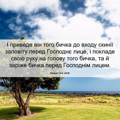 Picture 06 - Левит 4:4 UKR - І приведе він того бичка до - Bible Verse Picture