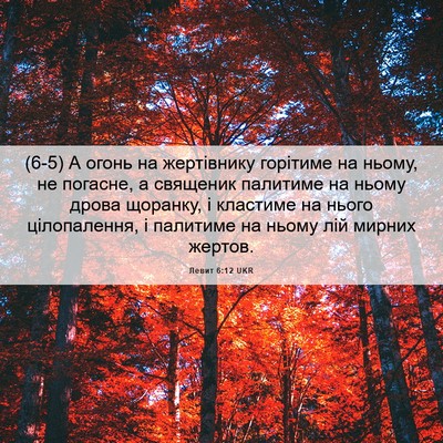 Picture 06 - Левит 6:12 UKR - (6-5) А огонь на жертівнику - Bible Verse Picture