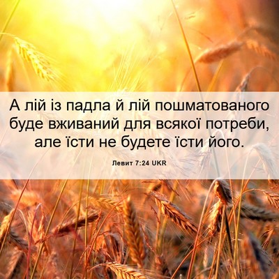 Picture 06 - Левит 7:24 UKR - А лій із падла й лій - Bible Verse Picture