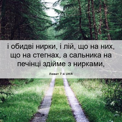 Picture 06 - Левит 7:4 UKR - і обидві нирки, і лій, що на - Bible Verse Picture