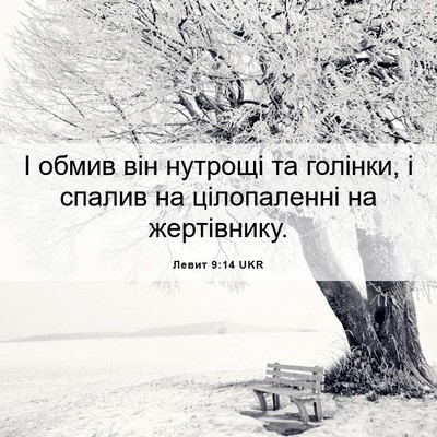 Picture 06 - Левит 9:14 UKR - І обмив він нутрощі та - Bible Verse Picture