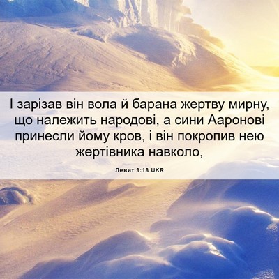 Picture 06 - Левит 9:18 UKR - І зарізав він вола й барана - Bible Verse Picture