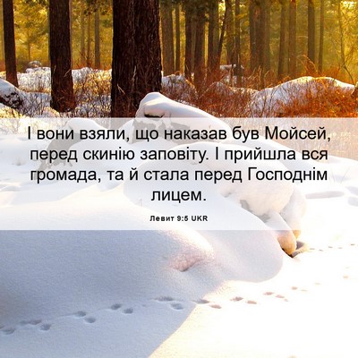 Picture 06 - Левит 9:5 UKR - І вони взяли, що наказав - Bible Verse Picture
