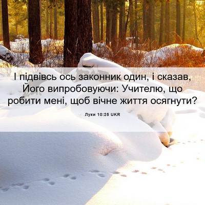 Picture 06 - Луки 10:25 UKR - І підвівсь ось законник - Bible Verse Picture