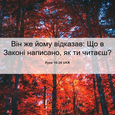 Picture 06 - Луки 10:26 UKR - Він же йому відказав: Що в - Bible Verse Picture