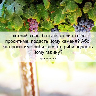 Picture 06 - Луки 11:11 UKR - І котрий з вас, батьків, як - Bible Verse Picture