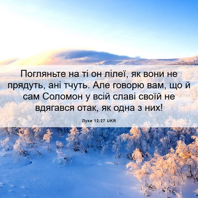 Picture 06 - Луки 12:27 UKR - Погляньте на ті он лілеї, - Bible Verse Picture