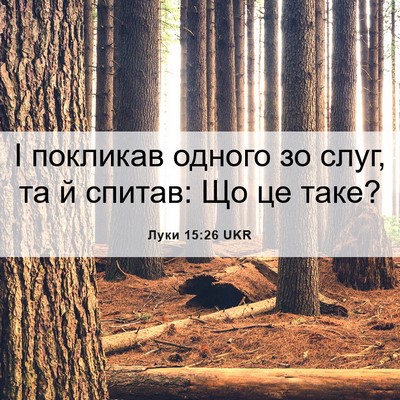 Picture 06 - Луки 15:26 UKR - І покликав одного зо слуг, - Bible Verse Picture