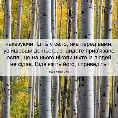 Picture 06 - Луки 19:30 UKR - наказуючи: Ідіть у село, - Bible Verse Picture
