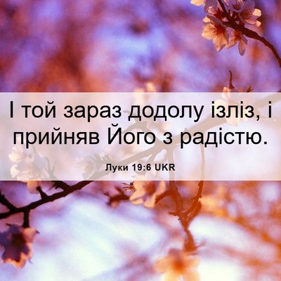 Picture 06 - Луки 19:6 UKR - І той зараз додолу ізліз, і - Bible Verse Picture