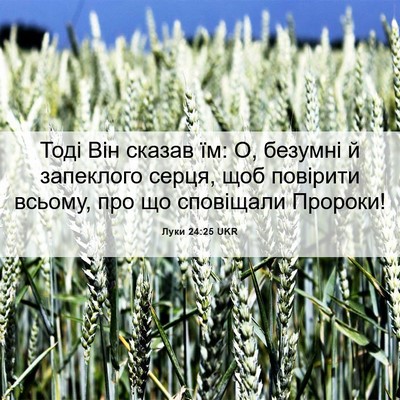 Picture 06 - Луки 24:25 UKR - Тоді Він сказав їм: О, - Bible Verse Picture