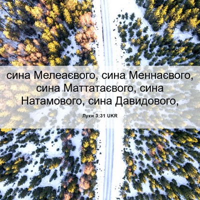 Picture 06 - Луки 3:31 UKR - сина Мелеаєвого, сина - Bible Verse Picture