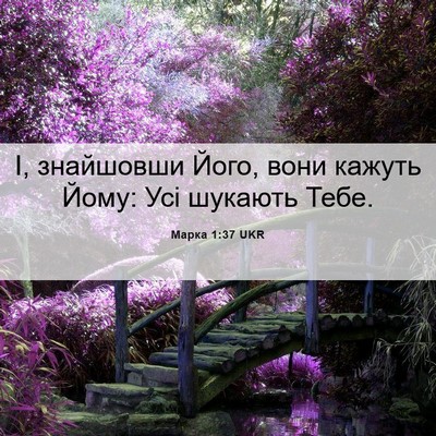 Picture 06 - Марка 1:37 UKR - І, знайшовши Його, вони - Bible Verse Picture