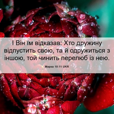 Picture 06 - Марка 10:11 UKR - І Він їм відказав: Хто - Bible Verse Picture