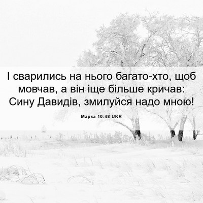 Picture 06 - Марка 10:48 UKR - І сварились на нього - Bible Verse Picture