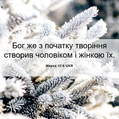 Picture 06 - Марка 10:6 UKR - Бог же з початку творіння - Bible Verse Picture