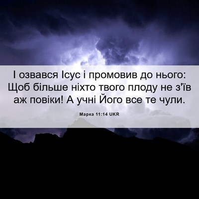Picture 06 - Марка 11:14 UKR - І озвався Ісус і промовив - Bible Verse Picture