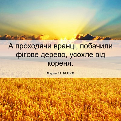 Picture 06 - Марка 11:20 UKR - А проходячи вранці, - Bible Verse Picture