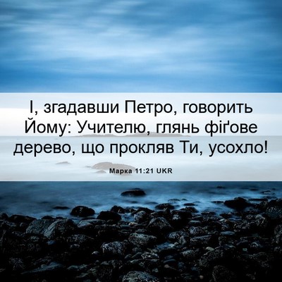 Picture 06 - Марка 11:21 UKR - І, згадавши Петро, говорить - Bible Verse Picture