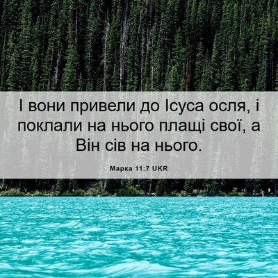 Picture 06 - Марка 11:7 UKR - І вони привели до Ісуса - Bible Verse Picture