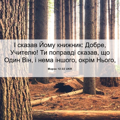Picture 06 - Марка 12:32 UKR - І сказав Йому книжник: - Bible Verse Picture
