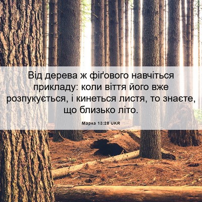 Picture 06 - Марка 13:28 UKR - Від дерева ж фіґового - Bible Verse Picture