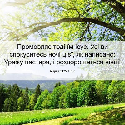 Picture 06 - Марка 14:27 UKR - Промовляє тоді їм Ісус: Усі - Bible Verse Picture