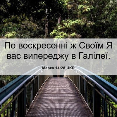 Picture 06 - Марка 14:28 UKR - По воскресенні ж Своїм Я - Bible Verse Picture