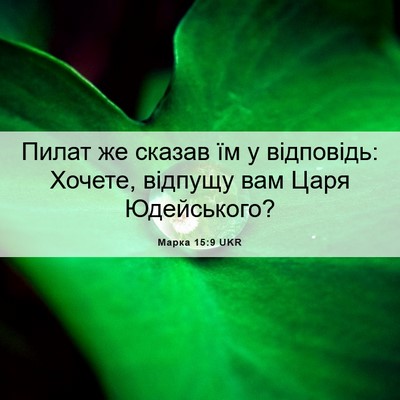 Picture 06 - Марка 15:9 UKR - Пилат же сказав їм у - Bible Verse Picture