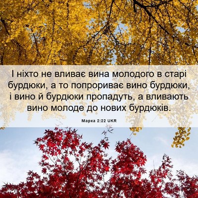Picture 06 - Марка 2:22 UKR - І ніхто не вливає вина - Bible Verse Picture