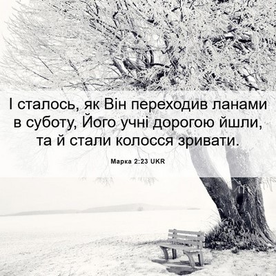 Picture 06 - Марка 2:23 UKR - І сталось, як Він переходив - Bible Verse Picture