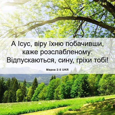 Picture 06 - Марка 2:5 UKR - А Ісус, віру їхню - Bible Verse Picture