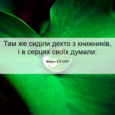 Picture 06 - Марка 2:6 UKR - Там же сиділи дехто з - Bible Verse Picture