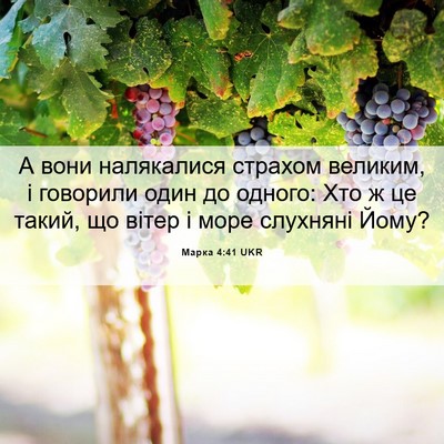 Picture 06 - Марка 4:41 UKR - А вони налякалися страхом - Bible Verse Picture