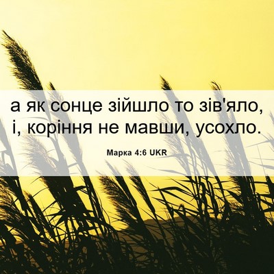 Picture 06 - Марка 4:6 UKR - а як сонце зійшло то - Bible Verse Picture