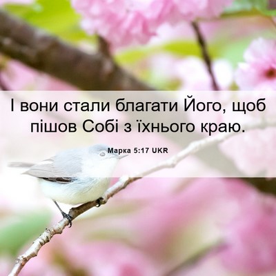 Picture 06 - Марка 5:17 UKR - І вони стали благати Його, - Bible Verse Picture