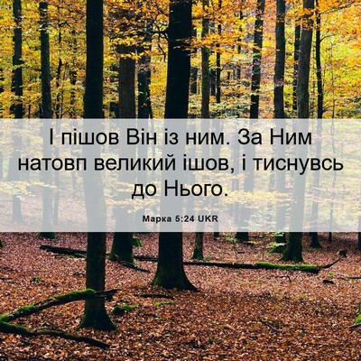 Picture 06 - Марка 5:24 UKR - І пішов Він із ним. За Ним - Bible Verse Picture