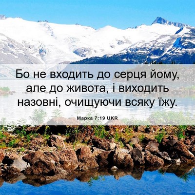 Picture 06 - Марка 7:19 UKR - Бо не входить до серця - Bible Verse Picture