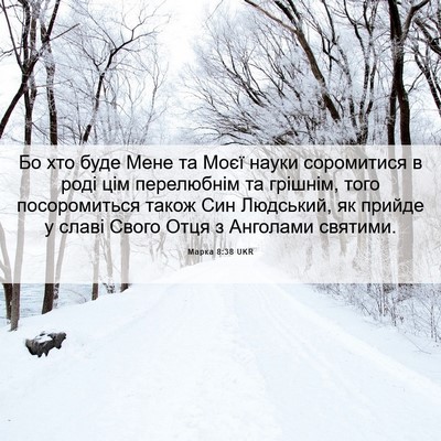 Picture 06 - Марка 8:38 UKR - Бо хто буде Мене та Моєї - Bible Verse Picture