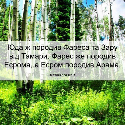 Picture 06 - Матвія 1:3 UKR - Юда ж породив Фареса та - Bible Verse Picture