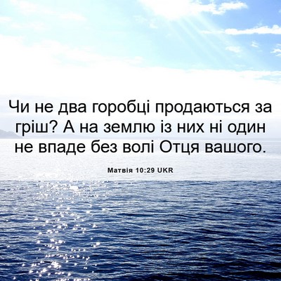 Picture 06 - Матвія 10:29 UKR - Чи не два горобці - Bible Verse Picture