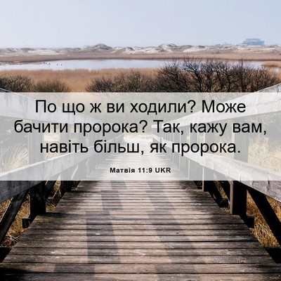 Picture 06 - Матвія 11:9 UKR - По що ж ви ходили? Може - Bible Verse Picture