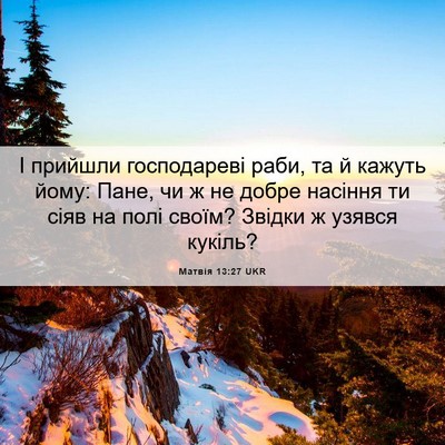 Picture 06 - Матвія 13:27 UKR - І прийшли господареві - Bible Verse Picture