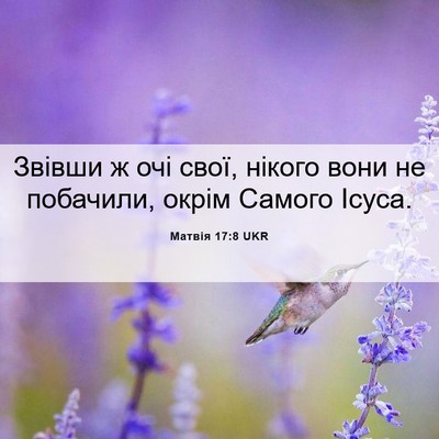 Picture 06 - Матвія 17:8 UKR - Звівши ж очі свої, нікого - Bible Verse Picture