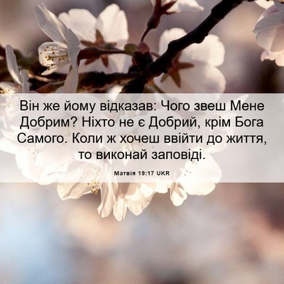 Picture 06 - Матвія 19:17 UKR - Він же йому відказав: Чого - Bible Verse Picture